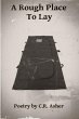 A Rough Place To Lay - Bild 1