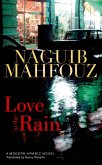 Love in the Rain (eBook, ePUB)