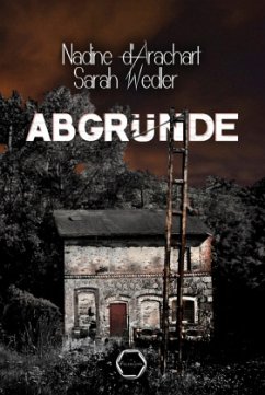 Cover Abgründe