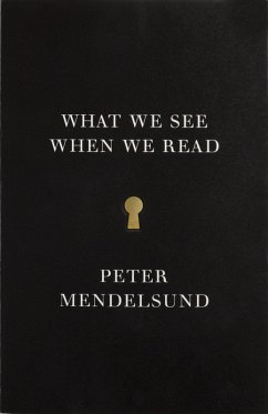 What We See When We Read (eBook, ePUB) - Mendelsund, Peter