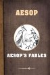 Aesop's Fables (eBook, ePUB) - Bild 1