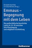 Emmaus - Begegnung mit dem Leben (eBook, PDF)