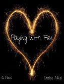 Playing With Fire (eBook, ePUB)