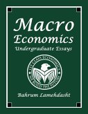 Macroeconomics Undergraduate Essays (eBook, ePUB)