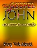 The Gospel of John &quote;-&quote; the Word Became Flesh&quote; (eBook, ePUB)
