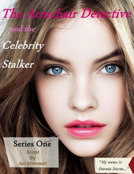 The Armchair Detective and the Celebrity Stalker: The Armchair Detective (eBook, ePUB)