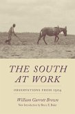 The South at Work (eBook, ePUB)