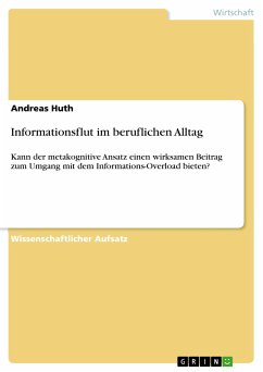 Informationsflut im beruflichen Alltag (eBook, PDF)