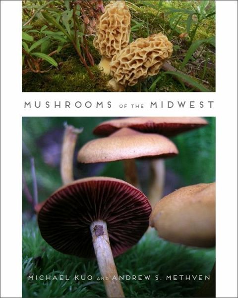 Mushrooms of the Midwest (eBook, ePUB)