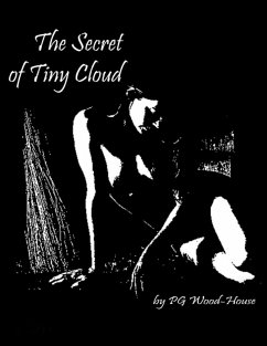 Cover The Secret of Tiny Cloud (eBook, ePUB)