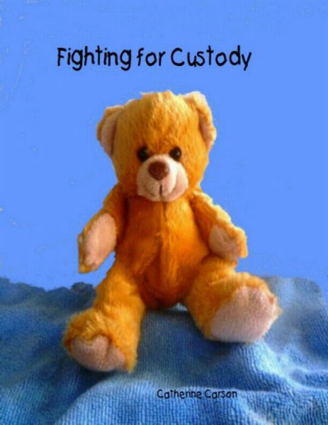 Fighting for Custody (eBook, ePUB)