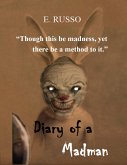 Diary of a Madman (eBook, ePUB)