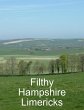 Filthy Hampshire Limericks (eBook, ePUB) - Bild 1