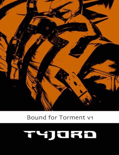 Bound for Torment Vol 1 (eBook, ePUB)