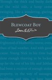 Blewcoat Boy (eBook, ePUB)