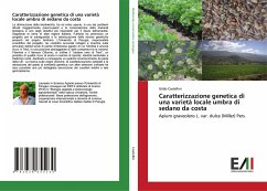 Caratterizzazione genetica di una varietà locale umbra di sedano da costa - Castellini, Gildo