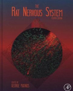 The Rat Nervous System