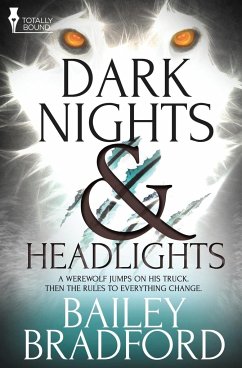Dark Nights and Headlights - Bradford, Bailey