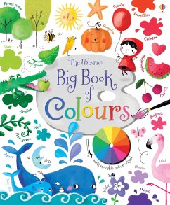 Big Book of Colours - Brooks, Felicity
