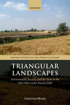 Cover Triangular Landscapes (eBook, PDF)