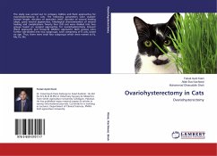 Ovariohysterectomy in Cats