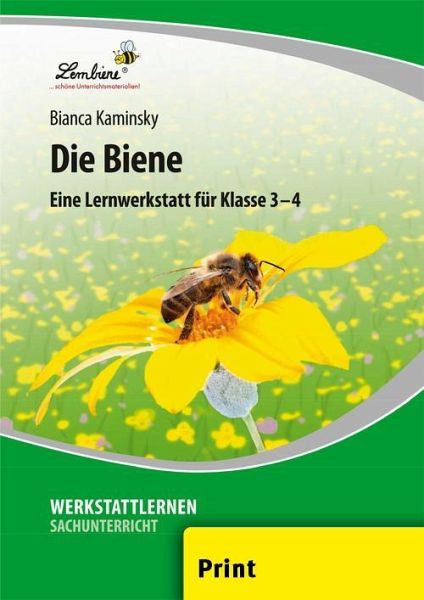 Die Biene Grundschule Sachunterricht Klasse 3 4 Von Bianca Kaminsky Schulbucher Portofrei Bei Bucher De