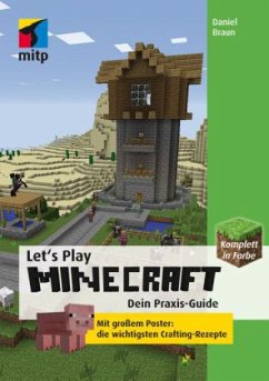 Let's Play Minecraft: Dein Praxis-Guide - Braun, Daniel