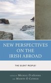 New Perspectives on the Irish Abroad (eBook, ePUB)