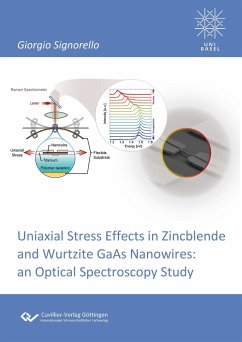 Uniaxial Stress Effects in Zincblende and Wurtzite GaAs Nanowires. An Optical Spectroscopy Study - Signorello, Giorgio