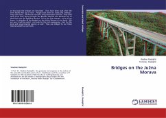 Bridges on the Ju¿na Morava - Radojicic, Vladimir;Radojicic, Tomislav