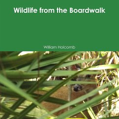 Wildlife from the Boardwalk - Holcomb, William