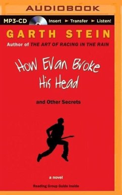 How Evan Broke His Head and Other Secrets - Stein, Garth
