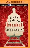 Last Train to Istanbul