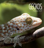 Living Wild: Geckos