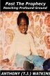 Past The Prophecy - Bild 1
