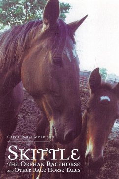 Skittle, the Orphan Racehorse, and Other Race Horse Tales - Morrison, Carol Parks