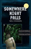 Somewhere Night Falls (eBook, ePUB)