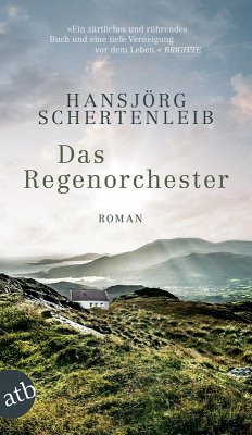 Das Regenorchester (eBook, ePUB) - Schertenleib, Hansjörg