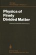 Physics of Finely Divided Matter - Bild 1