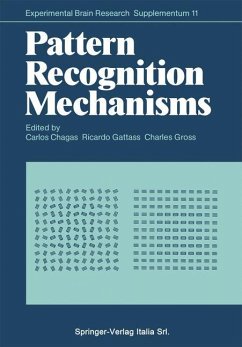 Pattern Recognition Mechanisms