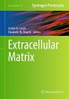 Extracellular Matrix - Bild 1