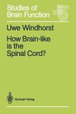 How Brain-like is the Spinal Cord? How Brain-like is the Spinal Cord?