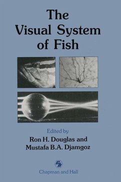 The Visual System of Fish