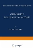 Grundzüge der Pflanzenanatomie Grundzüge der Pflanzenanatomie