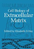 Cell Biology of Extracellular Matrix