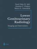 Lower Genitourinary Radiology