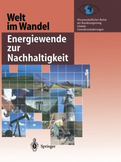 Welt im Wandel: Energiewende zur Nachhaltigkeit / Welt im Wandel - Loparo, Kenneth A.
