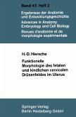 Funktionelle Morphologie des fetalen und kindlichen cervicalen Drüsenfeldes im Uterus