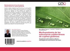 Morfoanatomía de las estructuras subterráneas de cuphea glutinosa - Thevenon, Mario Alberto;Cardinali, Francisco J.;Martínez T., Ana Cecilia