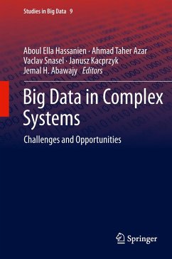 Big Data in Complex Systems